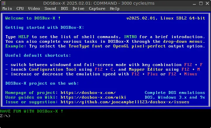 DOSBox-X